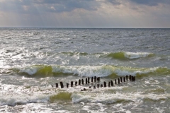 Rügen_Mönchgut2